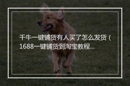 千牛一键铺货有人买了怎么发货（1688一键铺货到淘宝教程）
