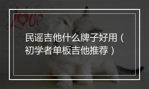 民谣吉他什么牌子好用（初学者单板吉他推荐）