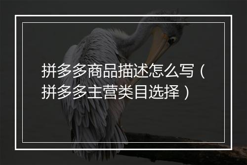 拼多多商品描述怎么写（拼多多主营类目选择）