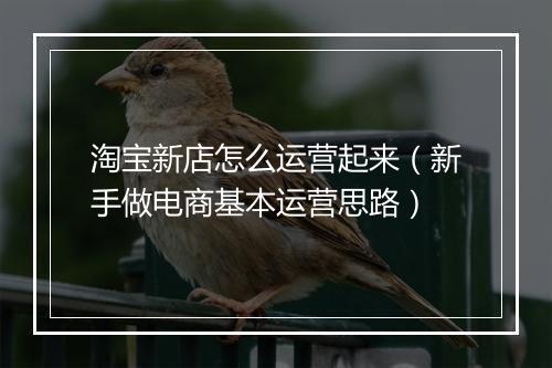 淘宝新店怎么运营起来（新手做电商基本运营思路）