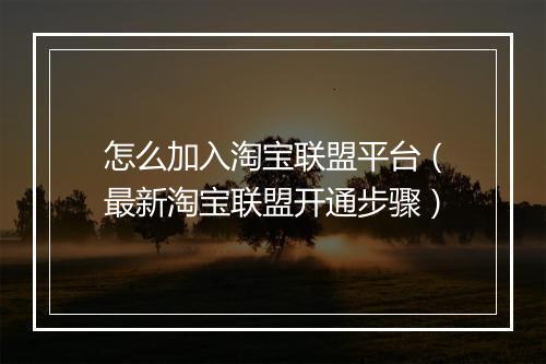 怎么加入淘宝联盟平台（最新淘宝联盟开通步骤）