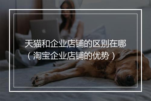 天猫和企业店铺的区别在哪（淘宝企业店铺的优势）