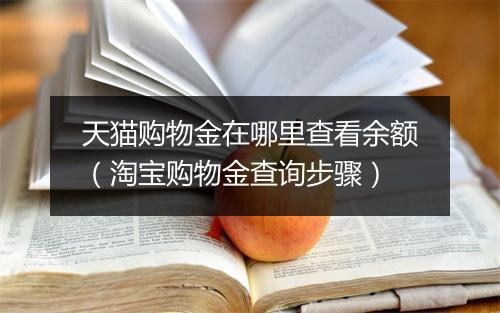 天猫购物金在哪里查看余额（淘宝购物金查询步骤）