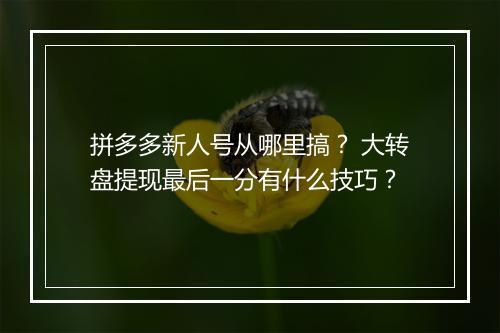 拼多多新人号从哪里搞？ 大转盘提现最后一分有什么技巧？