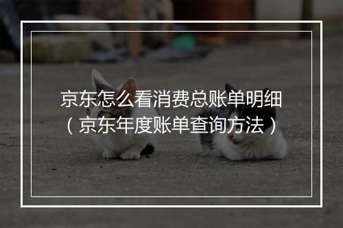 京东怎么看消费总账单明细（京东年度账单查询方法）