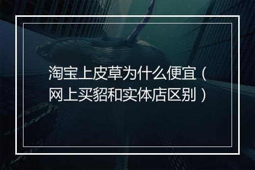 淘宝上皮草为什么便宜（网上买貂和实体店区别）