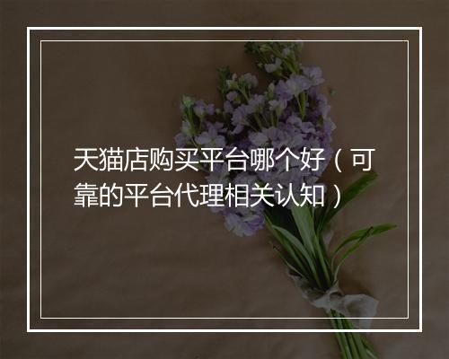 天猫店购买平台哪个好（可靠的平台代理相关认知）