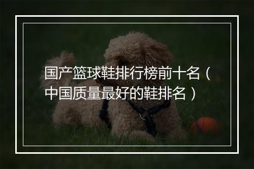 国产篮球鞋排行榜前十名（中国质量最好的鞋排名）