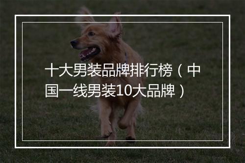 十大男装品牌排行榜（中国一线男装10大品牌）
