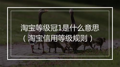 淘宝等级冠1是什么意思（淘宝信用等级规则）