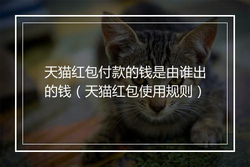 天猫红包付款的钱是由谁出的钱（天猫红包使用规则）