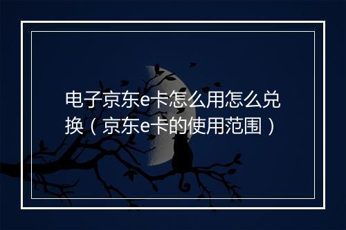 电子京东e卡怎么用怎么兑换（京东e卡的使用范围）