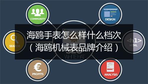 海鸥手表怎么样什么档次（海鸥机械表品牌介绍）