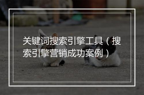 关键词搜索引擎工具（搜索引擎营销成功案例）