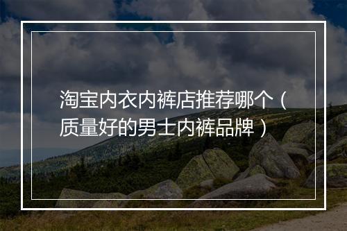 淘宝内衣内裤店推荐哪个（质量好的男士内裤品牌）