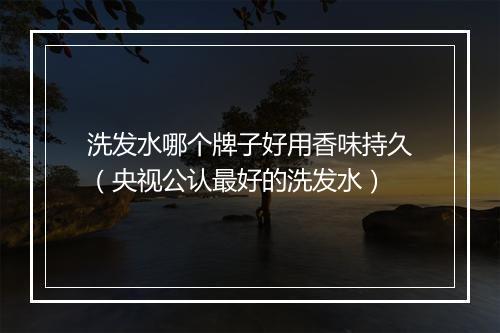 洗发水哪个牌子好用香味持久（央视公认最好的洗发水）