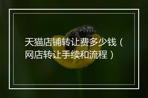 天猫店铺转让费多少钱（网店转让手续和流程）