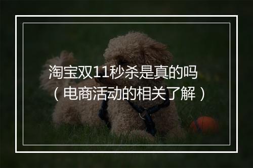淘宝双11秒杀是真的吗（电商活动的相关了解）
