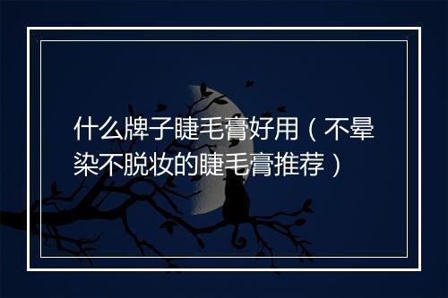 什么牌子睫毛膏好用（不晕染不脱妆的睫毛膏推荐）