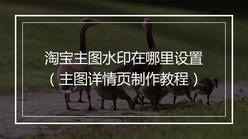 淘宝主图水印在哪里设置（主图详情页制作教程）