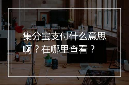 集分宝支付什么意思啊？在哪里查看？