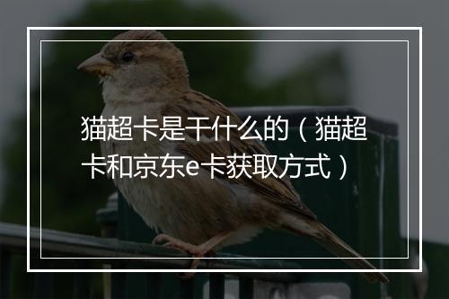 猫超卡是干什么的（猫超卡和京东e卡获取方式）