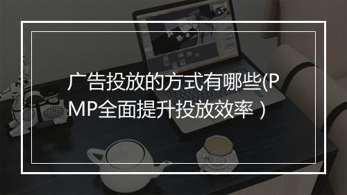 广告投放的方式有哪些(PMP全面提升投放效率）