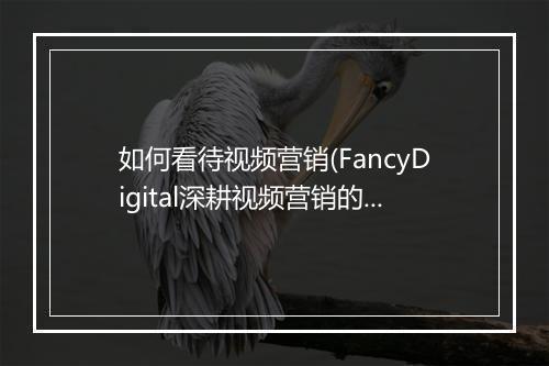 如何看待视频营销(FancyDigital深耕视频营销的3大趋势)