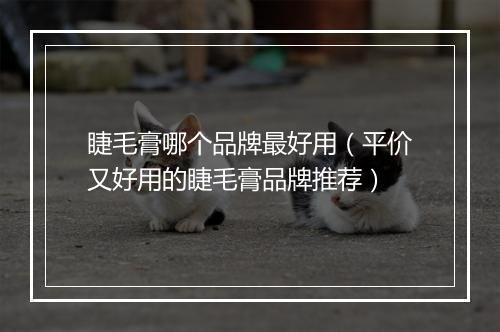 睫毛膏哪个品牌最好用（平价又好用的睫毛膏品牌推荐）