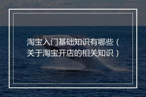 淘宝入门基础知识有哪些（关于淘宝开店的相关知识）