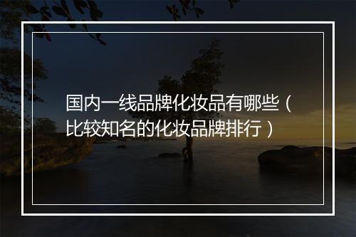 国内一线品牌化妆品有哪些（比较知名的化妆品牌排行）