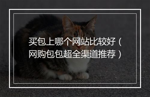 买包上哪个网站比较好（网购包包超全渠道推荐）