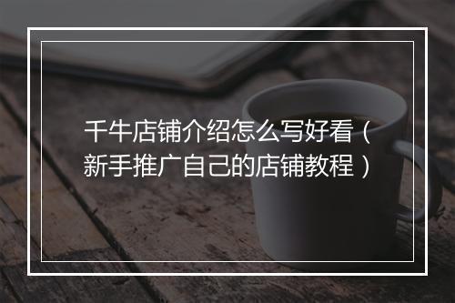 千牛店铺介绍怎么写好看（新手推广自己的店铺教程）