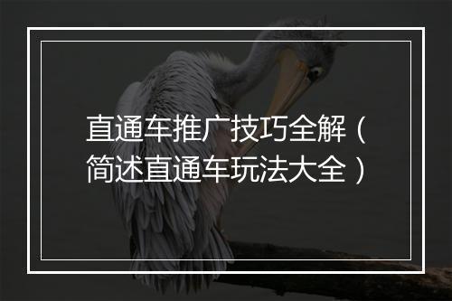 直通车推广技巧全解（简述直通车玩法大全）