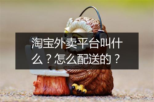 淘宝外卖平台叫什么？怎么配送的？
