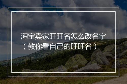 淘宝卖家旺旺名怎么改名字（教你看自己的旺旺名）
