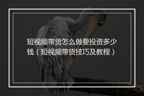 短视频带货怎么做要投资多少钱（短视频带货技巧及教程）