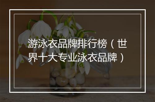 游泳衣品牌排行榜（世界十大专业泳衣品牌）