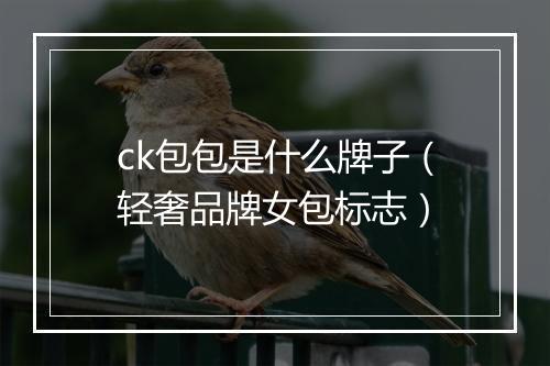 ck包包是什么牌子（轻奢品牌女包标志）