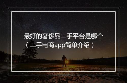 最好的奢侈品二手平台是哪个（二手电商app简单介绍）