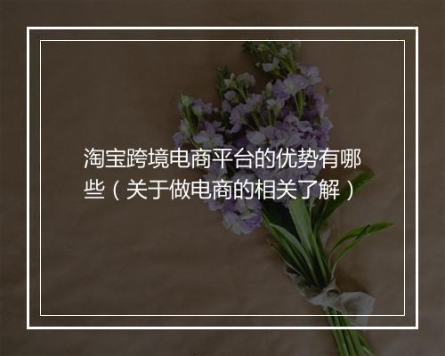 淘宝跨境电商平台的优势有哪些（关于做电商的相关了解）