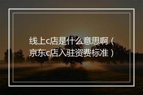 线上c店是什么意思啊（京东c店入驻资费标准）