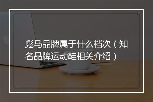 彪马品牌属于什么档次（知名品牌运动鞋相关介绍）