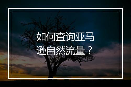 如何查询亚马逊自然流量？