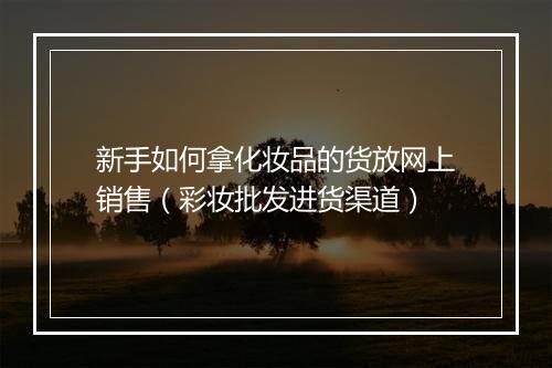 新手如何拿化妆品的货放网上销售（彩妆批发进货渠道）