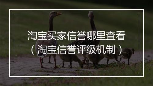 淘宝买家信誉哪里查看（淘宝信誉评级机制）