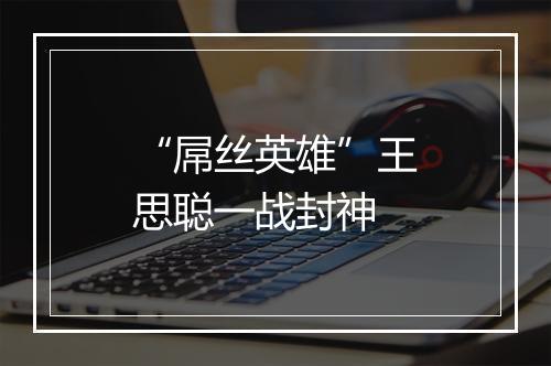 “屌丝英雄”王思聪一战封神