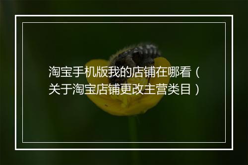 淘宝手机版我的店铺在哪看（关于淘宝店铺更改主营类目）