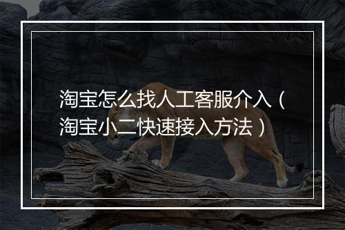 淘宝怎么找人工客服介入（淘宝小二快速接入方法）