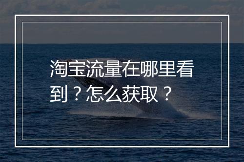 淘宝流量在哪里看到？怎么获取？